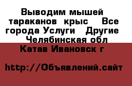 Выводим мышей ,тараканов, крыс. - Все города Услуги » Другие   . Челябинская обл.,Катав-Ивановск г.